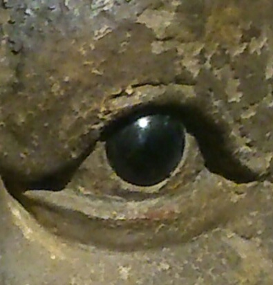 Fabel van de krokodil